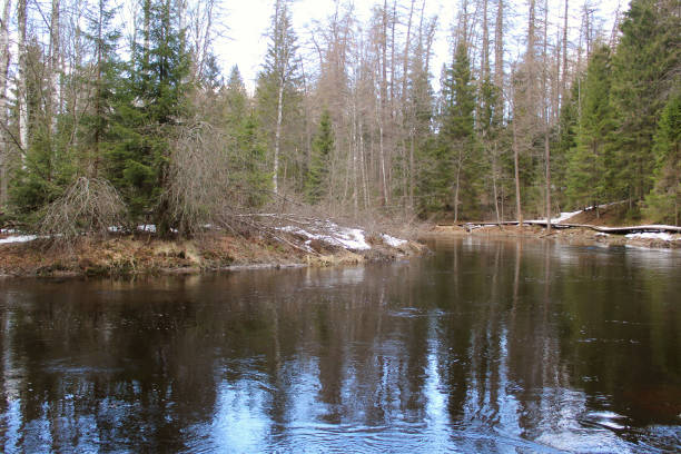 istock The river in early spring. Spring landscape with river and forest. Russia. 2190630503