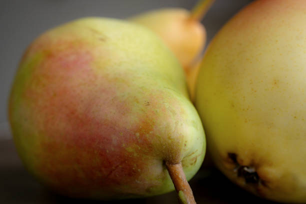 Whole pears close up wooden table. Macro photo.