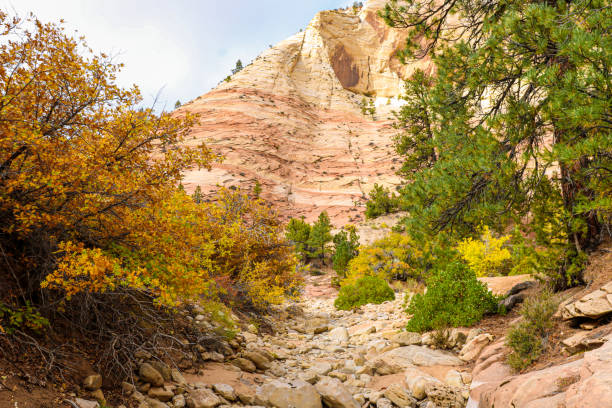 istock Autumn at Zion National Park. 2190633073