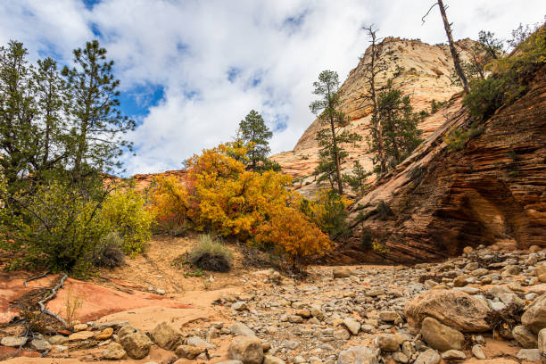 istock Hiking in dry Pine Creek 2190633893