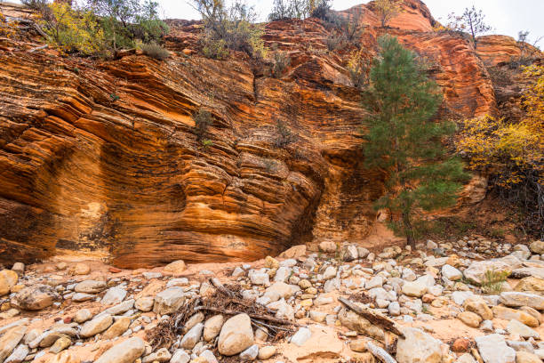 Hiking along Pine Creek at Zion National Park on an early autumn day.