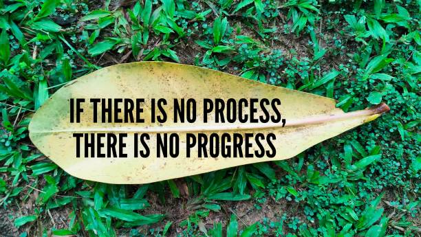 inspirational and motivational words or quotes If there is no process, there is no progress