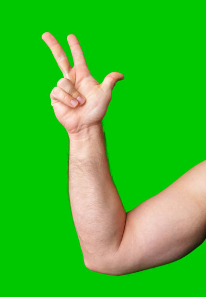 istock A hand holding up a peace sign against a bright green background 2190634970