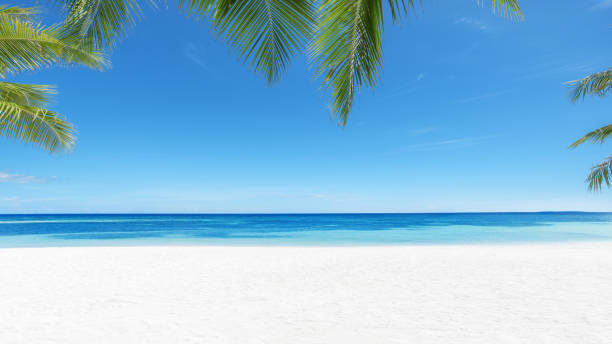 istock Coconut palm trees and beautiful turquoise sea on tropical paradise beach 2190636954