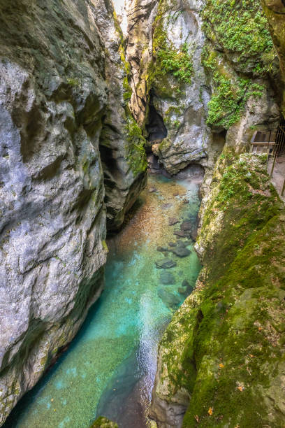 istock Tolmin gorges displaying turquoise water flowing between narrow cliffs in slovenia 2190639683