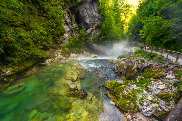istock Radovna river flowing through vintgar gorge in slovenia 2190639852