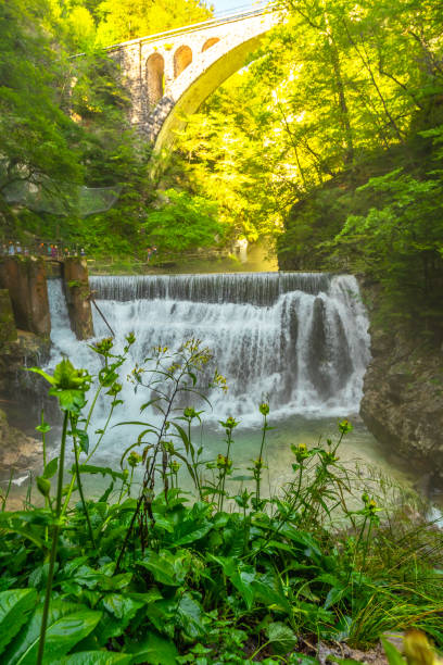 istock Waterfall flowing under stone bridge in vintgar gorge, slovenia 2190640115