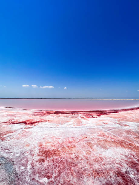 istock Stunning pink salt lake under a clear blue sky 2190640237
