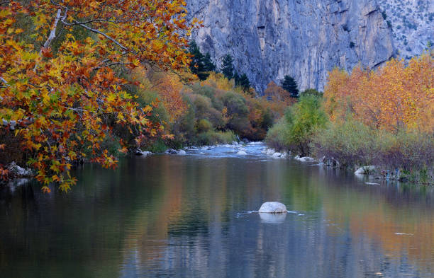 Lake view and reflections in autumn