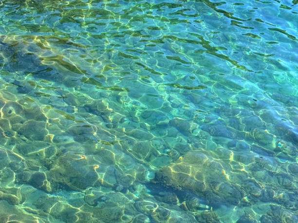 istock Sea beautiful turquoise blue green water clear surface 2190652559