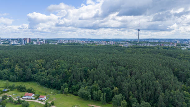 istock Aerial View of Forest and Cityscape with Tower 2190653395