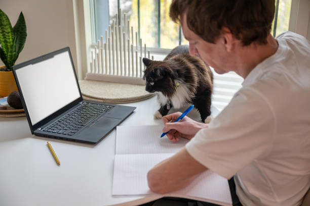istock Young man working from home on laptop and cat sitting on the table 2190659025