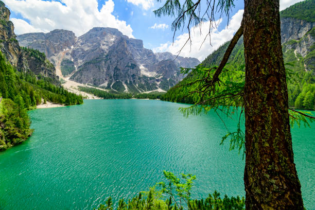 istock Pragser Wildsee or Lago di Braies in the Dolomites during springtime 2190659030