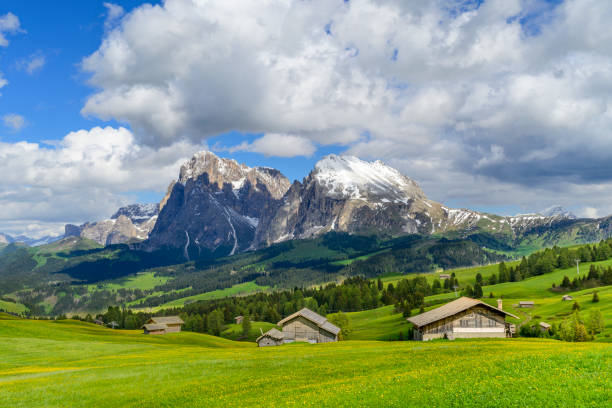 istock Seiser Alm or Alpe di Siusi in the Dolomites during springtime 2190659253
