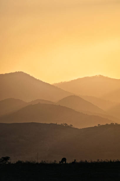 istock Evening light and layers in the mountains, on dusk looking towards the Brindabella Mountain range, Canberra, ACT, Australia. Summer golden light. 2190659535