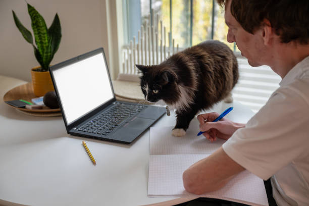 istock Young man working from home on laptop and cat sitting on the table 2190659580