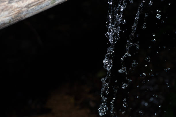 A landscape of dripping spring water