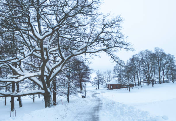 Snowy park on the shore of a lake in Lahti Finland