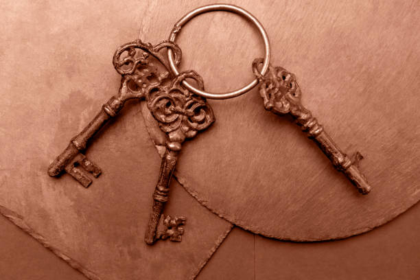 Three old keys on plates close up. Objects on Mocha brown background. Concept photo. Demonstrating color of 2025 year