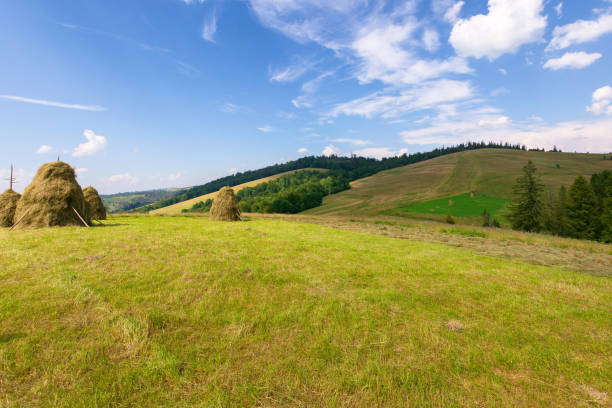 A serene and picturesque countryside view, highlighted by haystacks, colorful wildflowers, and rolling mountains