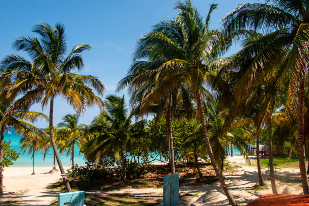 istock A beautiful beach in Varadero, Cuba. 2190672041
