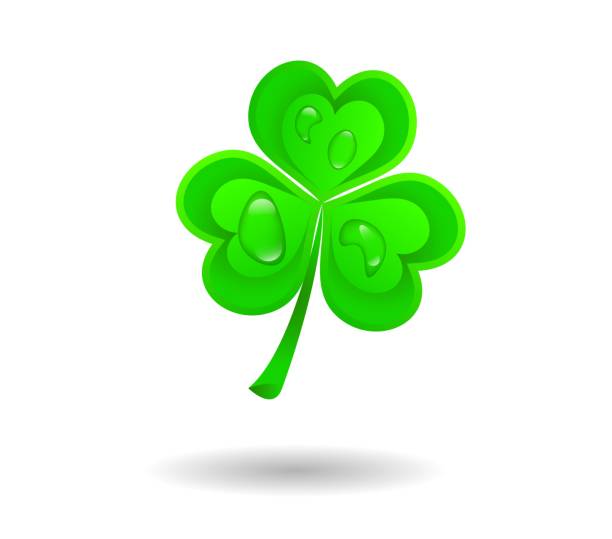 istock Realistic Shamrock with Drops of Water Isolated on White 2190672501