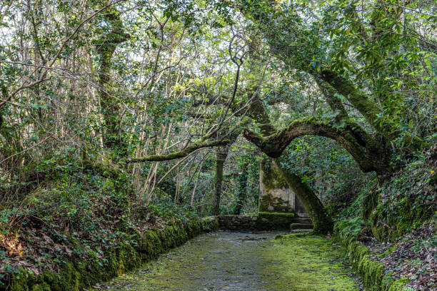 istock Abandoned and empty medieval Convento dos Capuchos in the Serra de Sintra National Park, Portugal 2190674468