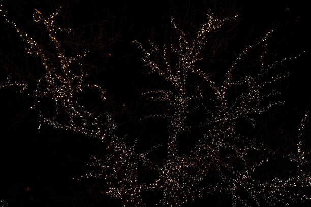 Flower-shaped christmas lights shining brightly against a backdrop of twinkling tree lights, creating a festive atmosphere
