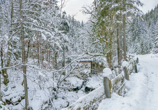 istock Hiking trail through an idyllic winter landscape 2190677337