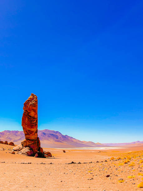 Young woman in blue shirt looking at the endless desert landscape of Valle De La Luna and enjoying the bright orange sunset at the edge of the canyon in Atacama region, Chile