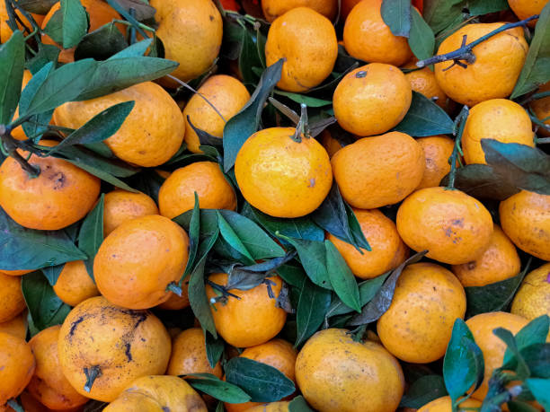 istock Full Frame Of Fresh Orange Fruit. Top View. 2190685659