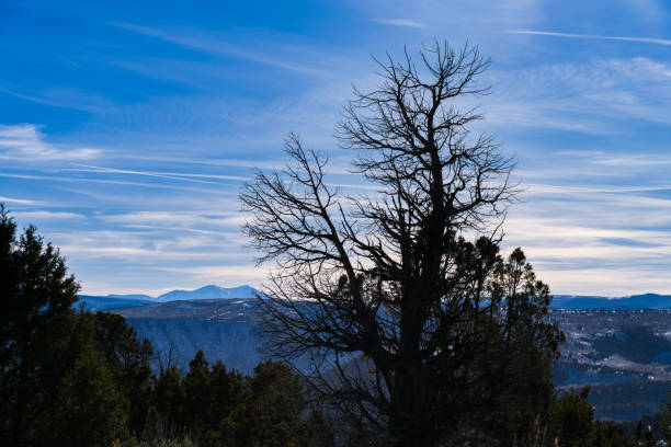 Elk Mountain and Mount Sopris View - Landscape scenic with layers of mountains with Mount Sopris off in the distance.
