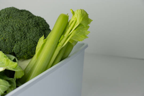 Multicolored fresh vegetables lie in the refrigerator drawer. Grocery shopping. Vitamin set close-up. Food on a white background, copy space