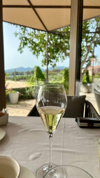istock Glass of champagne 2190695083