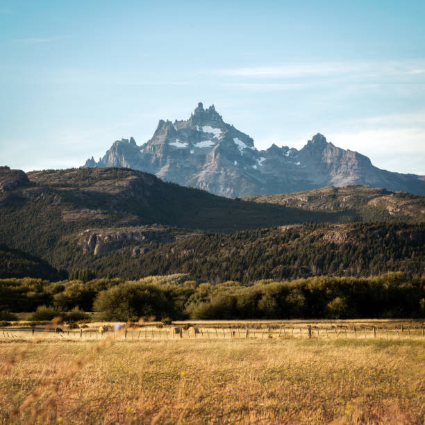 Golden Fields during Sunset in Patagonia Argentina
