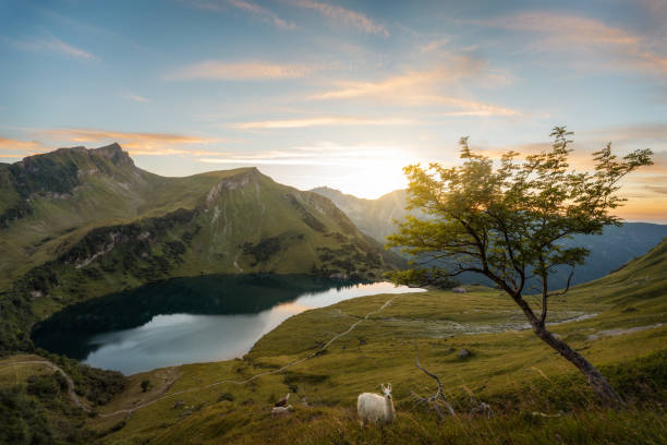 Alpine Lake in Austrian Alps