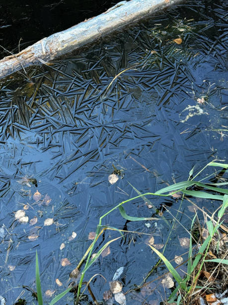 istock Frozen pond with geometric ice patterns and autumn leaves near grassy shore. 2190700215