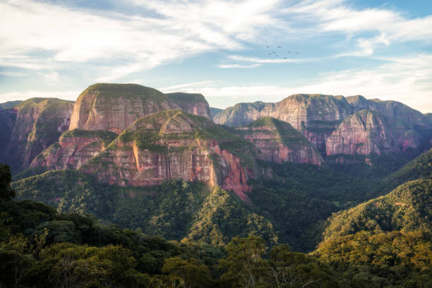istock Amboro National Park, Amazon Forest in Bolivia 2190700831