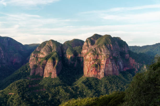 istock Amboro National Park, Amazon Forest in Bolivia 2190700835