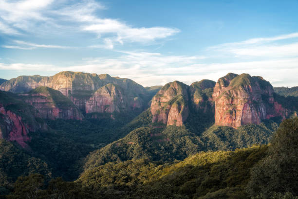 istock Amboro National Park, Amazon Forest in Bolivia 2190700862
