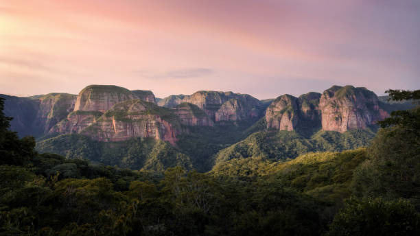 Amboro National Park, Amazon Forest in Bolivia
