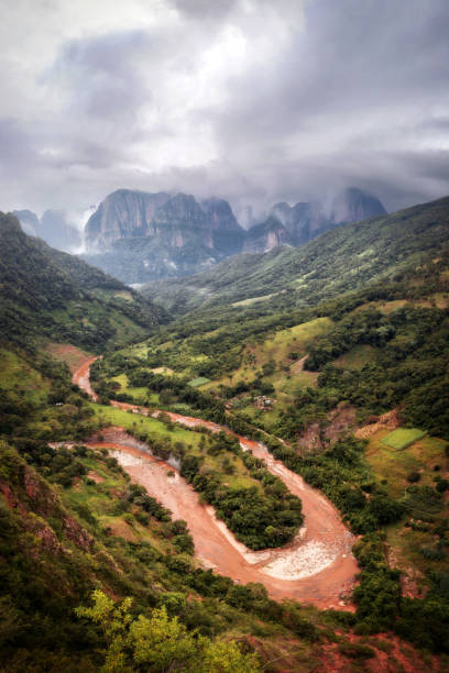 Amboro National Park, Amazon Forest in Bolivia