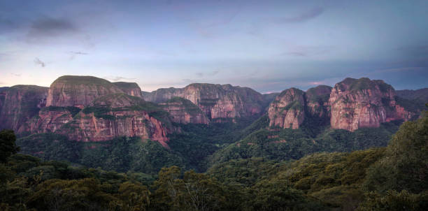 istock Amboro National Park, Amazon Forest in Bolivia 2190700949