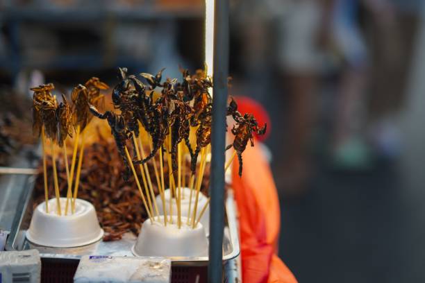 istock insects for street food? 2190701510