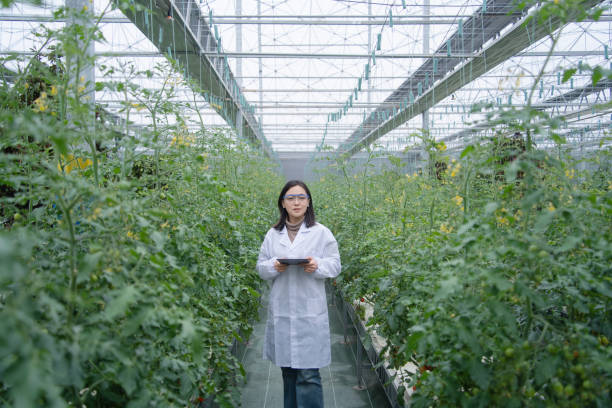 istock Asian female agronomist working using digital tablet  with lab coat in a greenhouse 2190702331