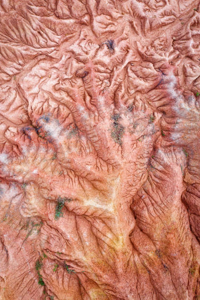 istock Tatacoa Desert in Southern Colombia 2190702421