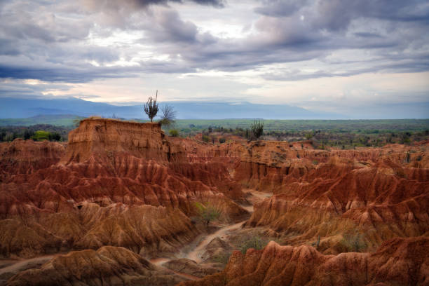 istock Tatacoa Desert in Southern Colombia 2190702498