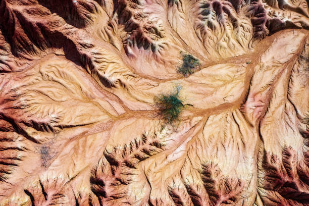 istock Tatacoa Desert in Southern Colombia 2190702879