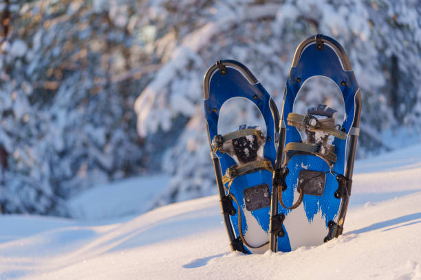 Blue snowshoes in a winter snowy forest on a sunny day.