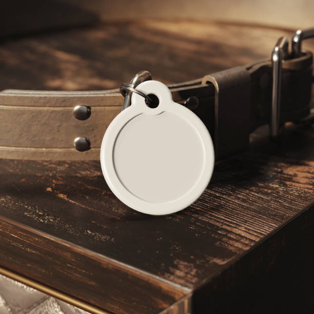 istock Pet tag attached to the collar mockup. 3D rendering 2190704778